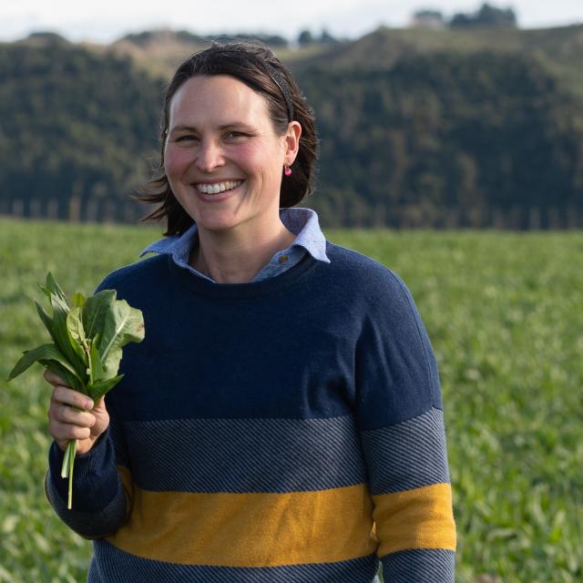 Farmer Councils Beef + Lamb New Zealand